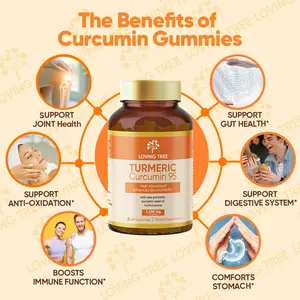 TurmericGut Health Gummies Curcumin 95 Gummies - 60 Count High Absorption 95% Curcuminoids with Black Pepper & Pumpkin Seed Oil for Joint Digestive & Gut Health Edible Supplement